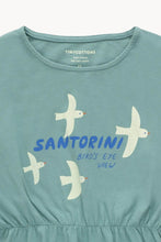 Tinycottons SANTORINI BIRDS DRESS light teal/light cream